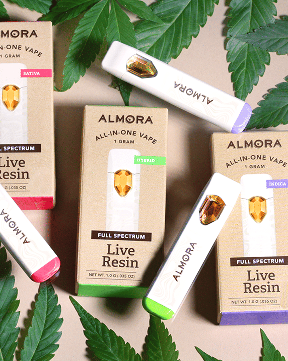 ALMORA — Grapefruit Haze