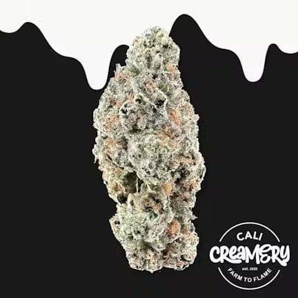 Cali Creamery — Kutthroat