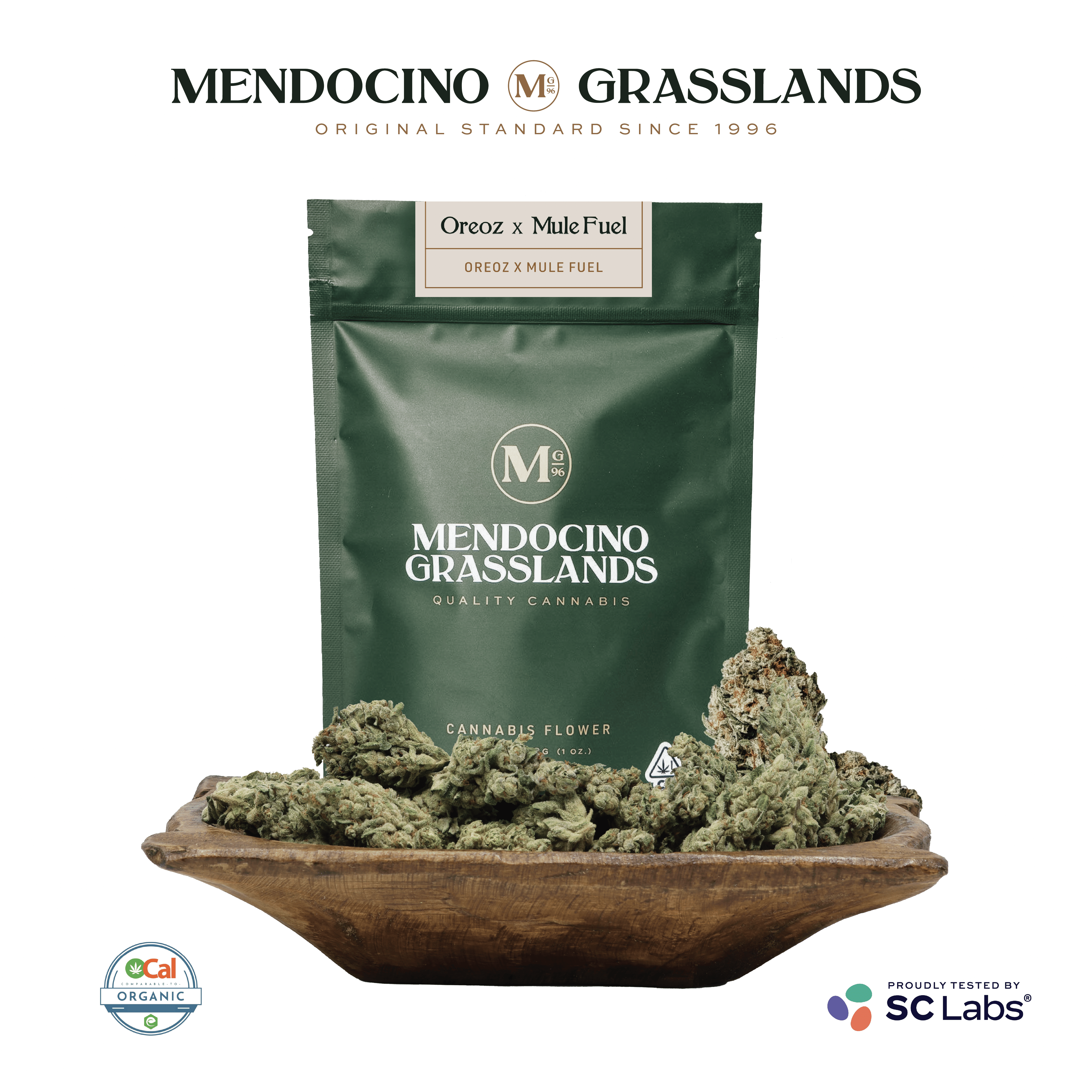 Mendocino Grasslands — Oreoz X Mule Fuel