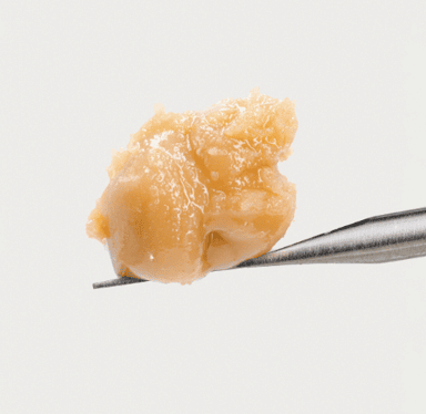 Chow Mein | Live Rosin