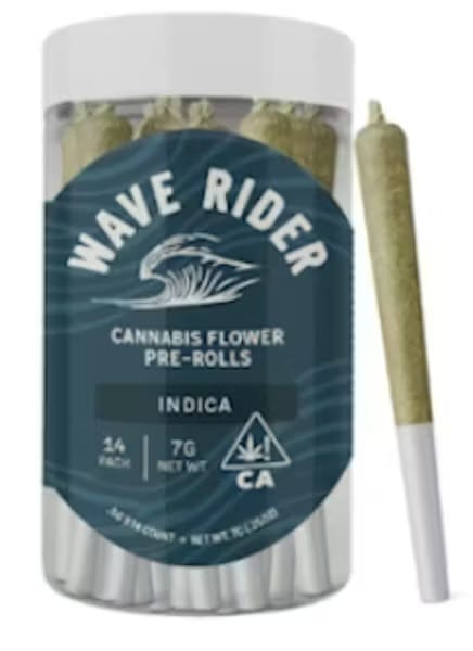 Wave Rider β Gush Mintz