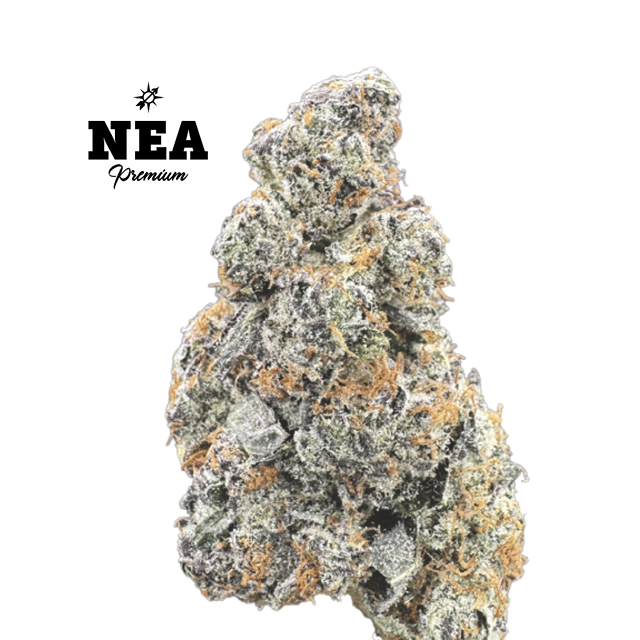 Pink Breath | Premium