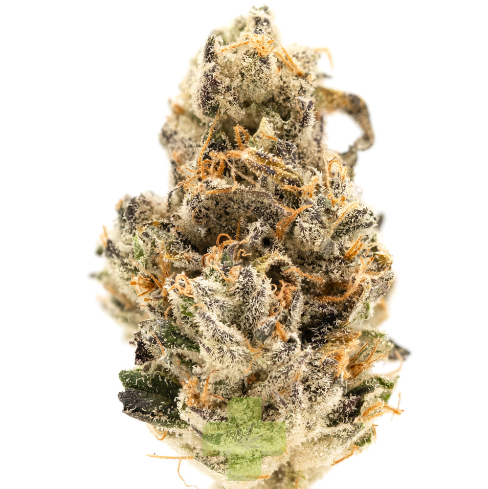 Cannabiotix — Funk Master