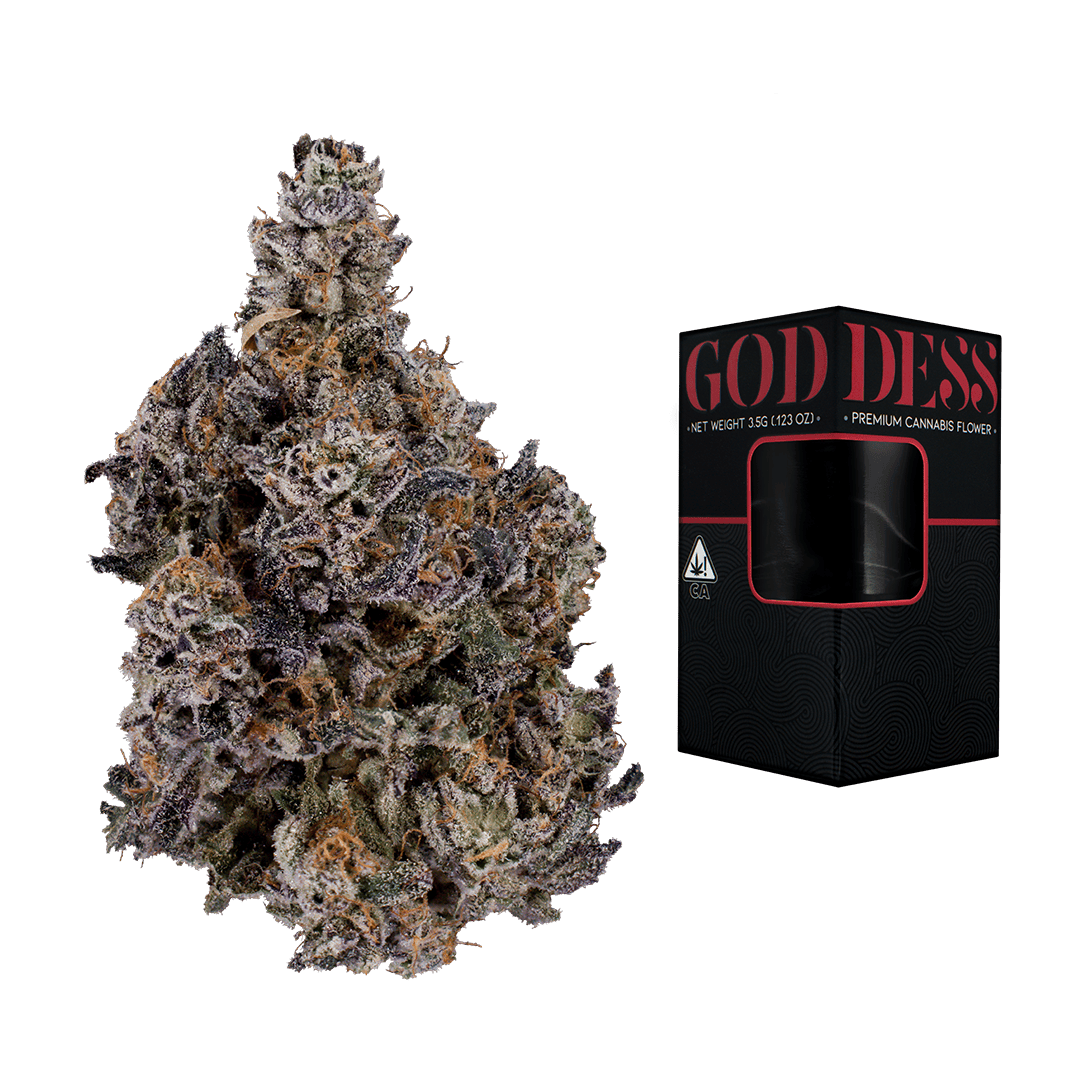 XOTX — Jelly Donutz Goddess