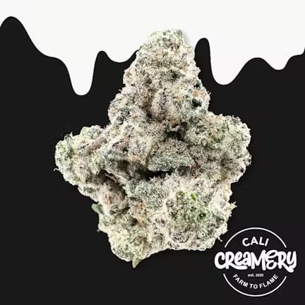 Cali Creamery — Golden Ticket