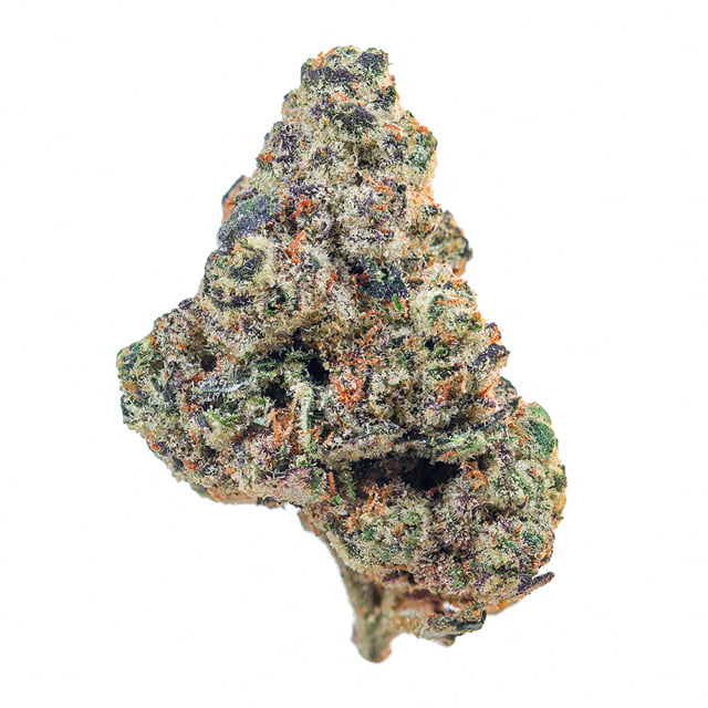 PINK PANTHER