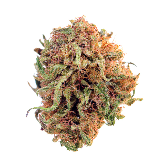BLUEBERRY BOOST