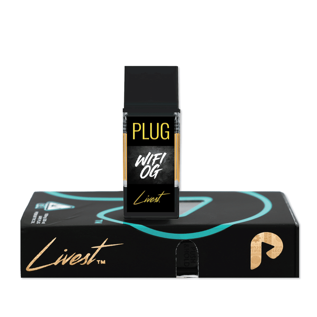 PlugPlay — Wifi OG