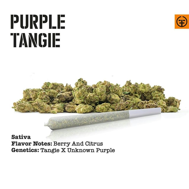 Purple Tangie | 3.5g