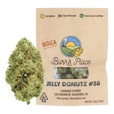 BURRS PLACE: Jelly Dough