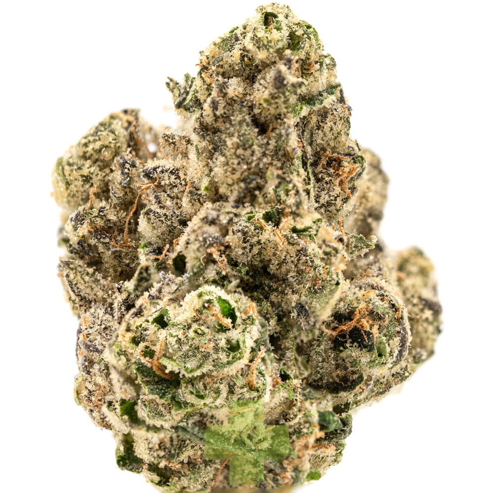 True Classic — Strawberry Cherry Gelato