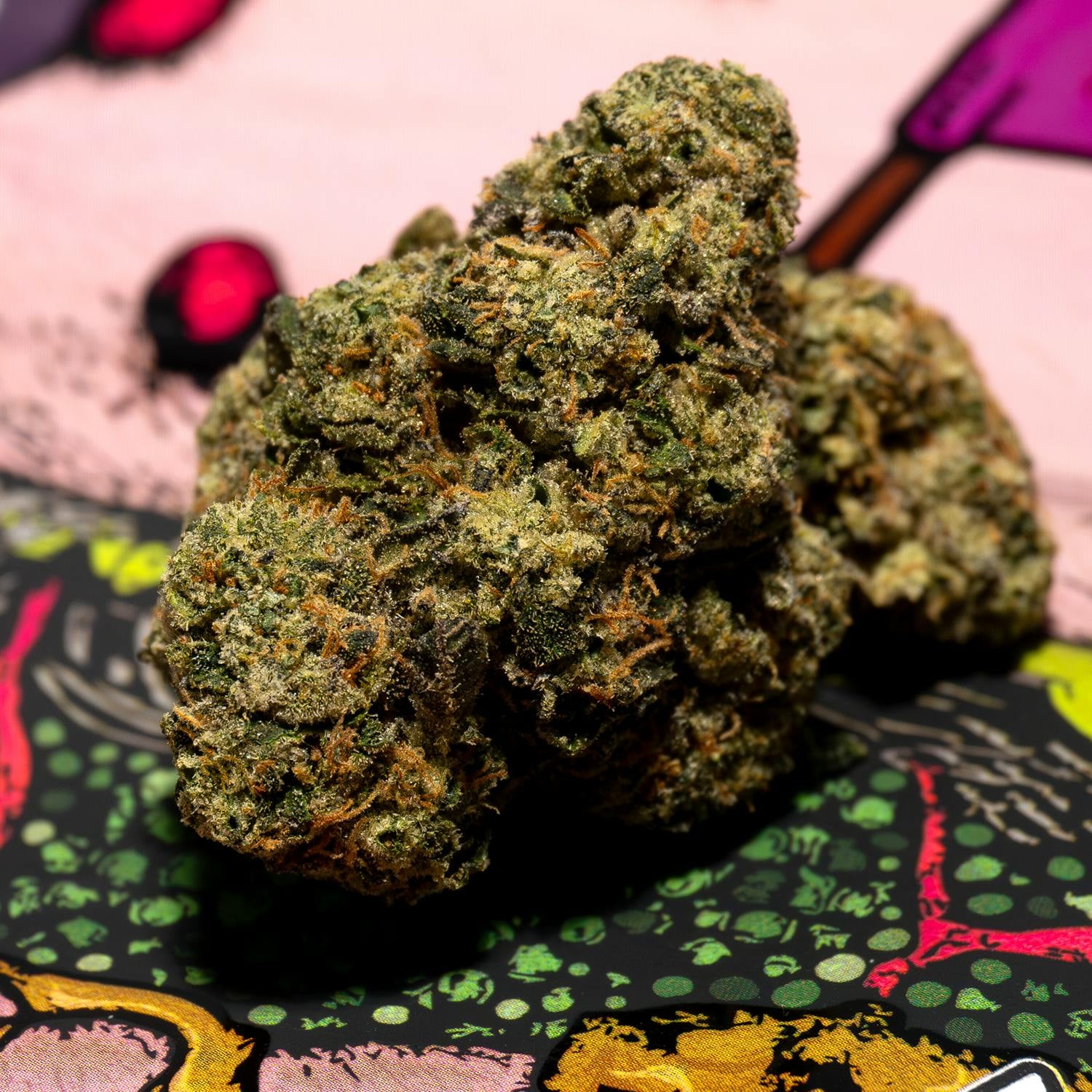 TEDS BUDZ: Nasty Patty