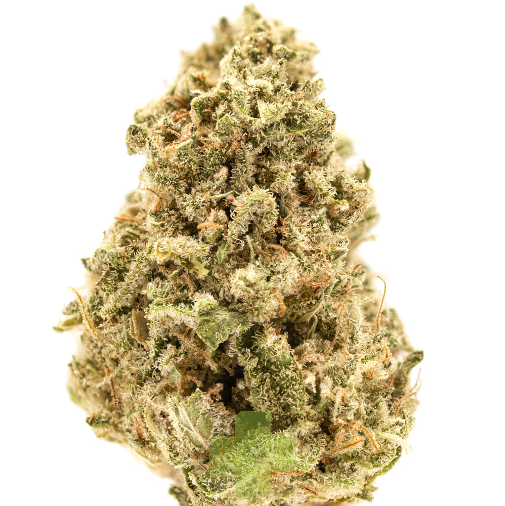 Farmer and the Felon — Mod Mintz, Sg