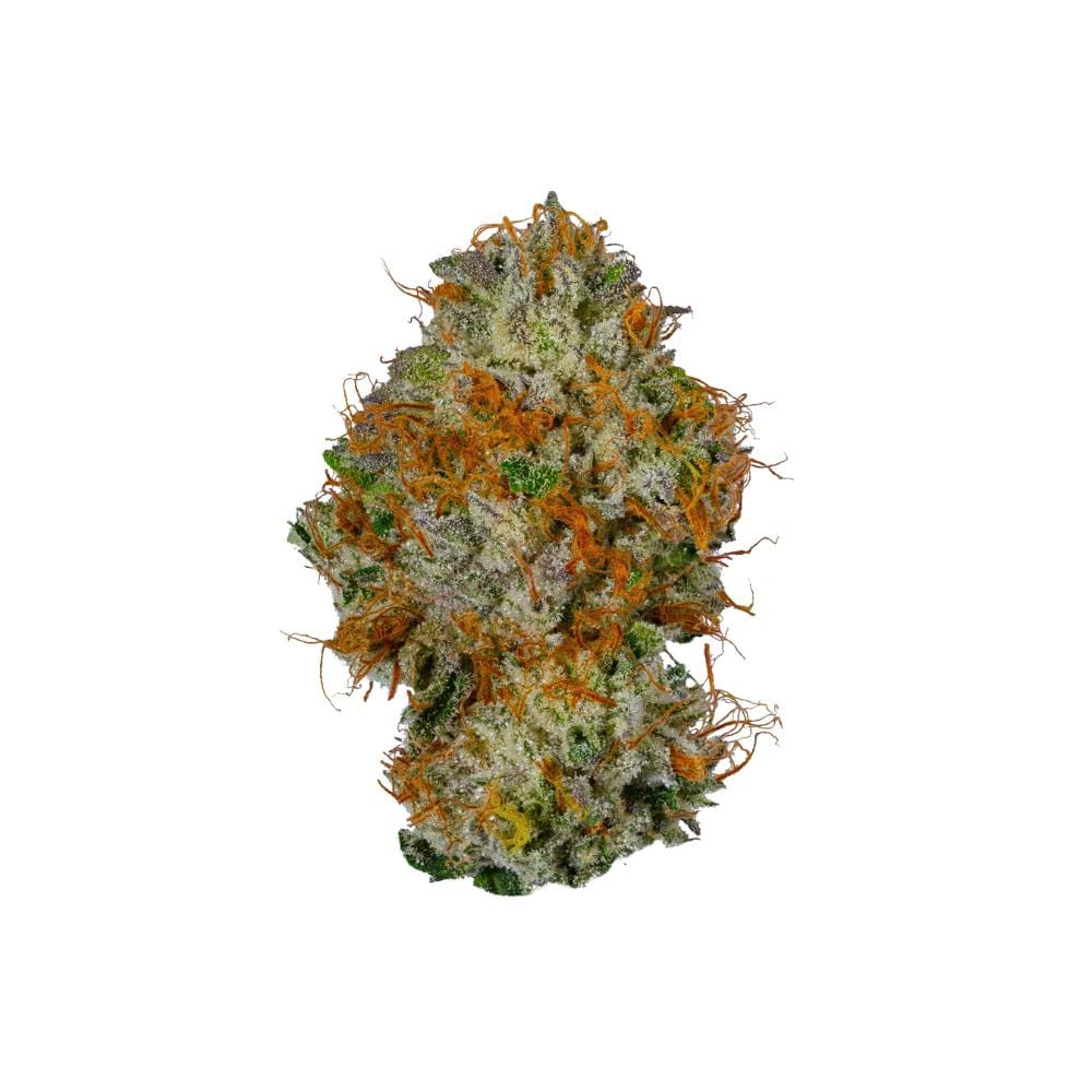 Alien Labs — Glitch