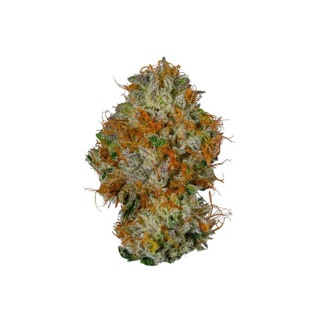 Alien Labs — Glitch