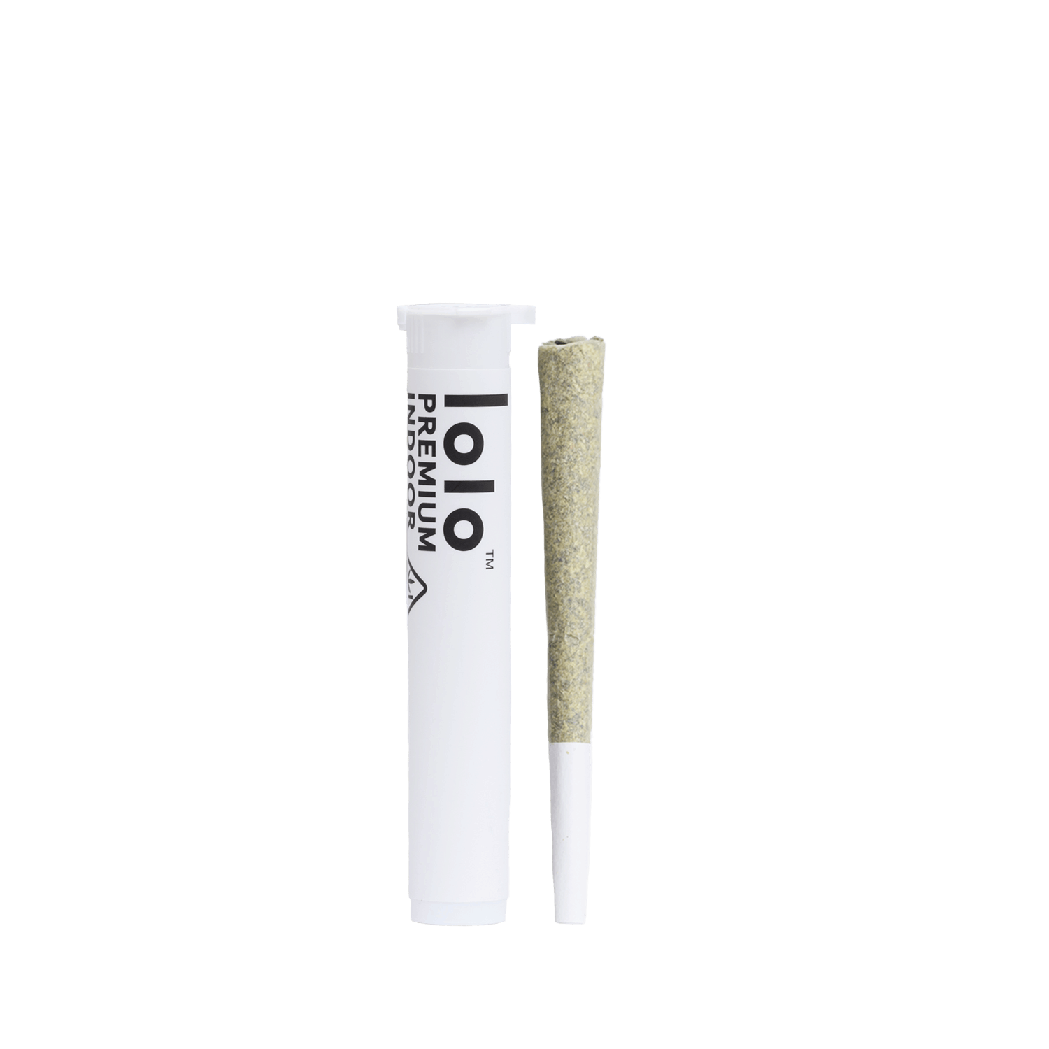 lolo: Kosher Tangie