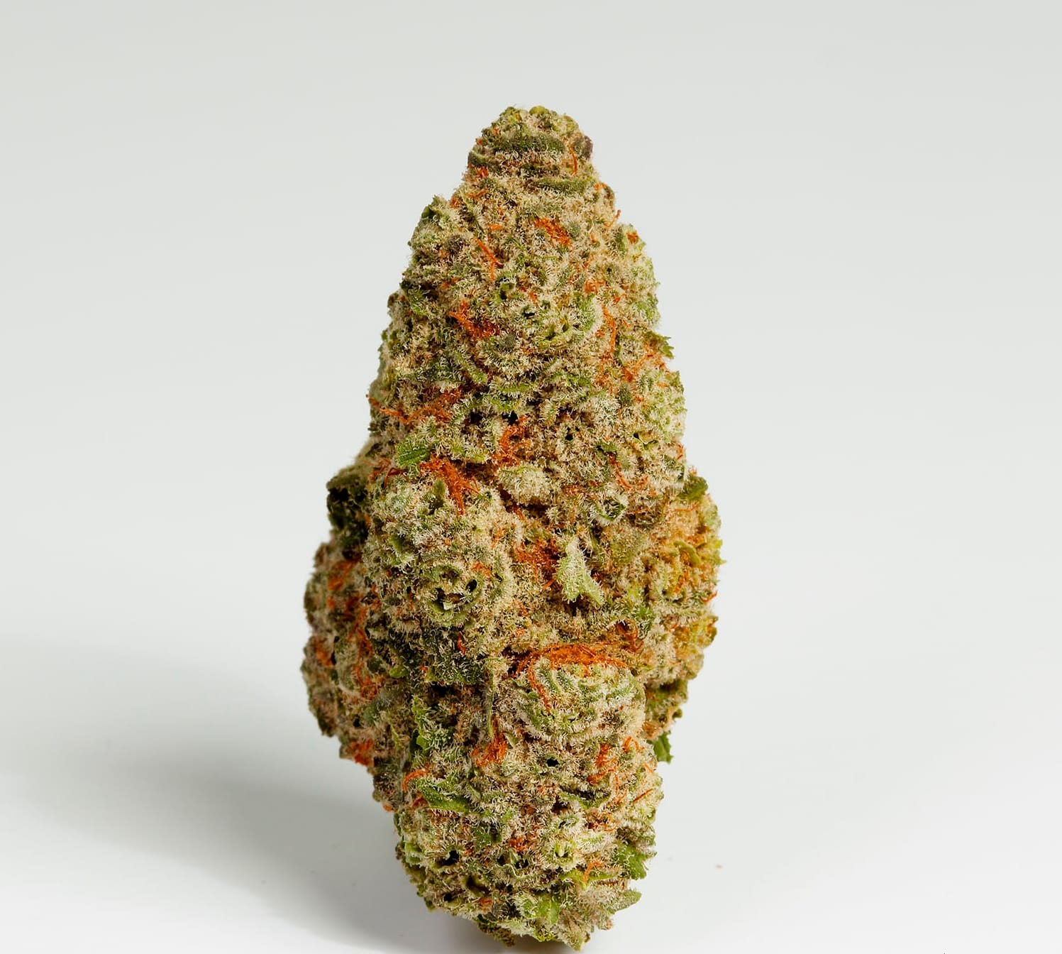 Mimosa | Flower | 3.5g