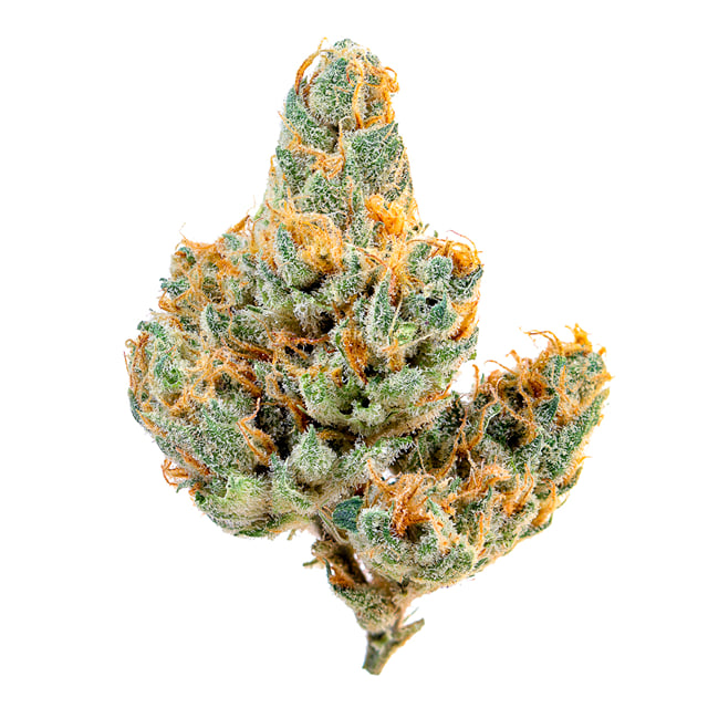 ORANGE CRUSH