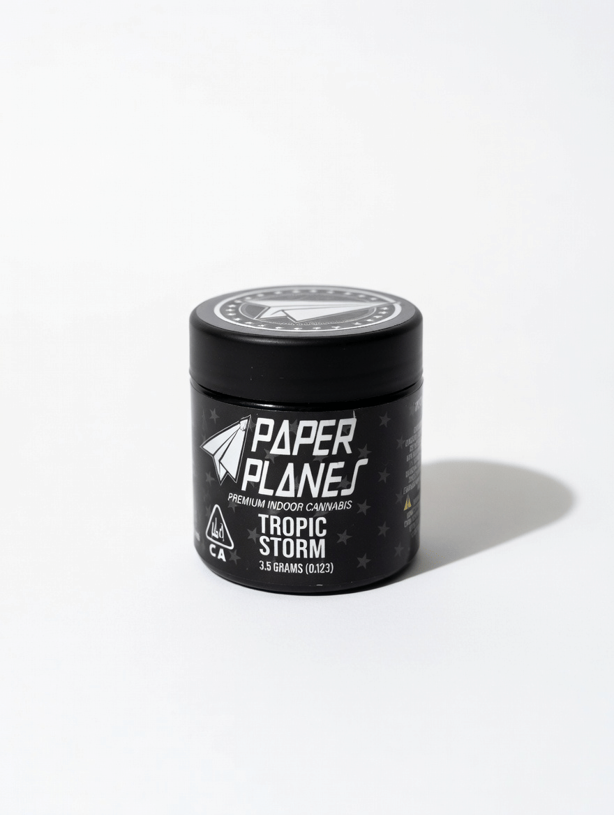 Paper Planes — Tropic Storm