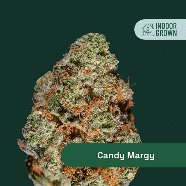 Candy Margy