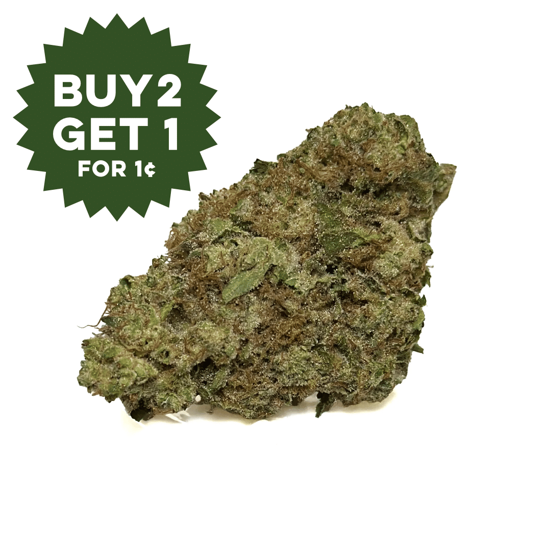 Green Earth Co. — Governmint