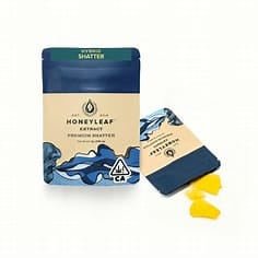 HONEYLEAF -: Blueberry Acai Shatter
