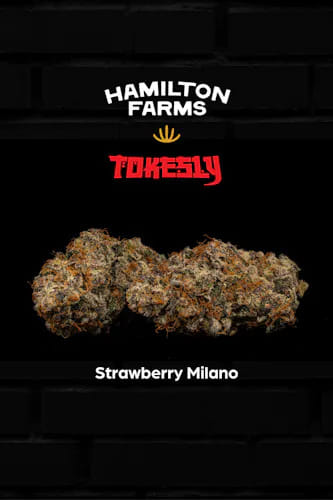 Strawberry Milano 3.5g