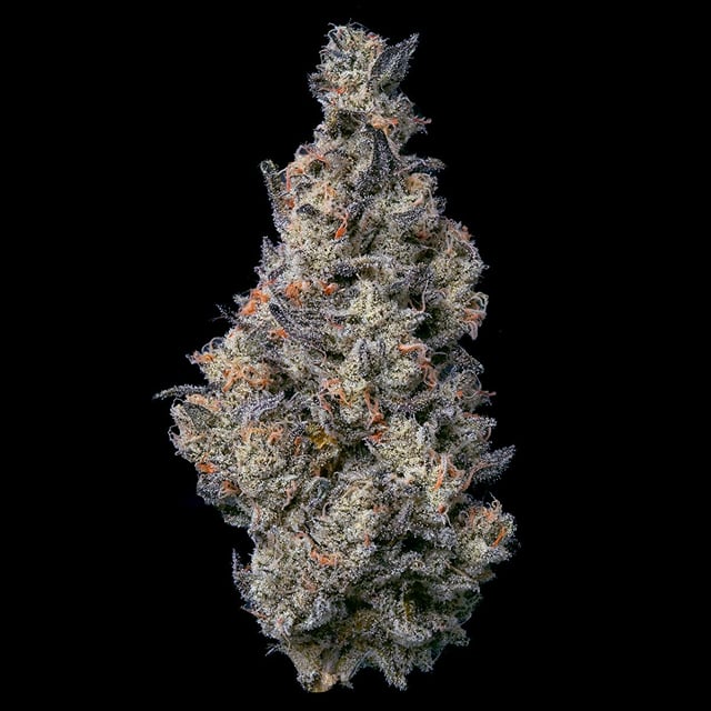 Donut Shop | .5g x 5 Pre-Roll Pack