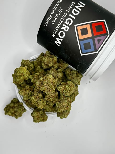 Cheddar Cheeze Premium Flower