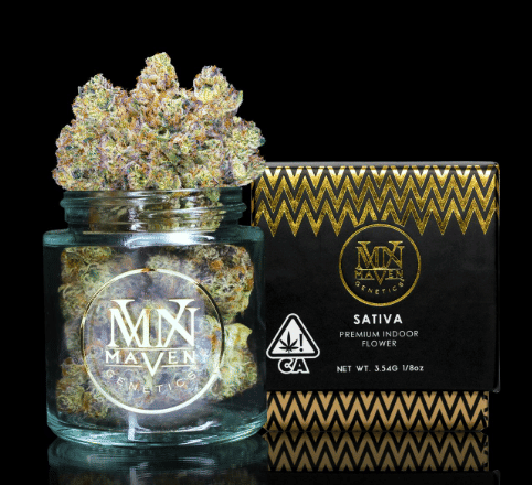 Maven Genetics — Pineapple Biscotti
