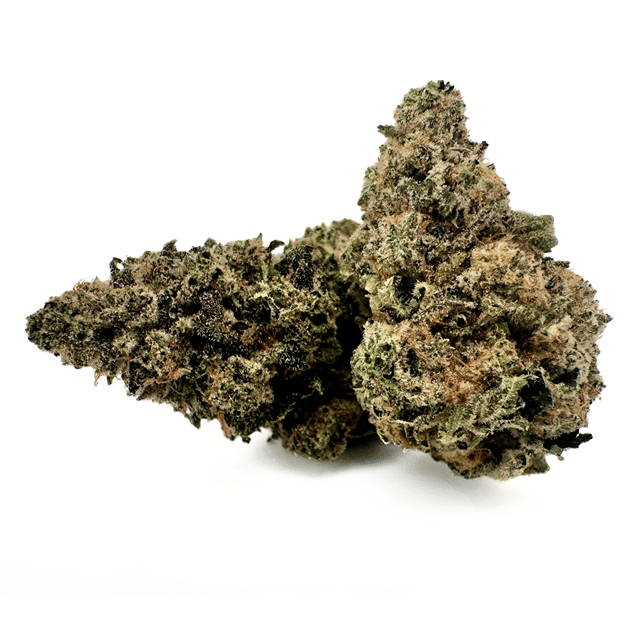 Prepack 1oz - White Runtz
