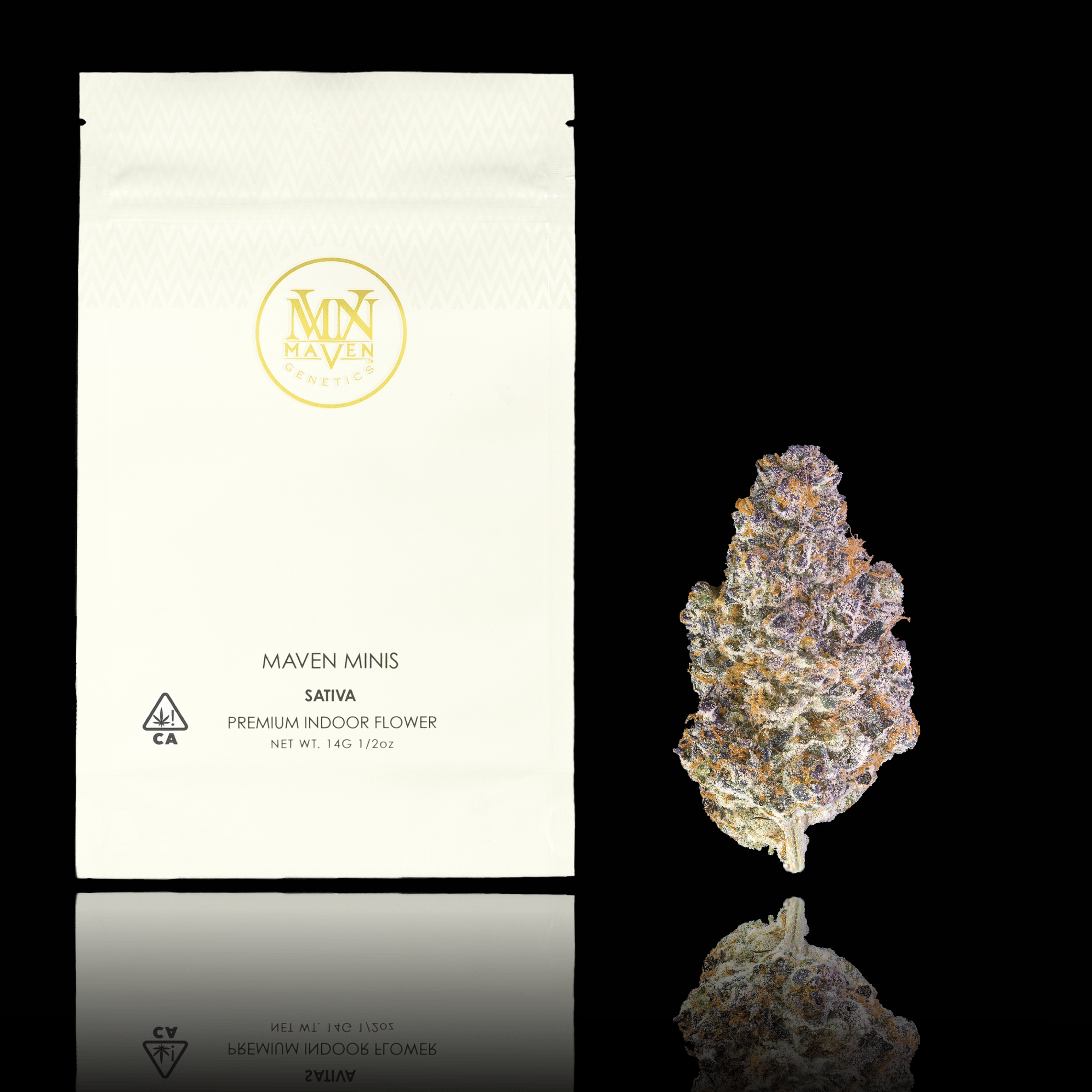 Maven Genetics — Key Lime Jack