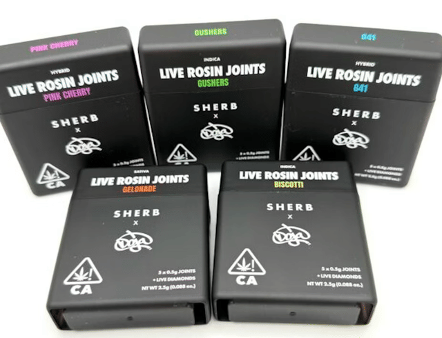 Sherbinskis — G41 - Sherbinskis X Doja - Minis