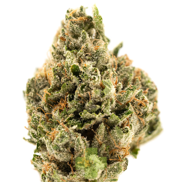 True Classic — True OG