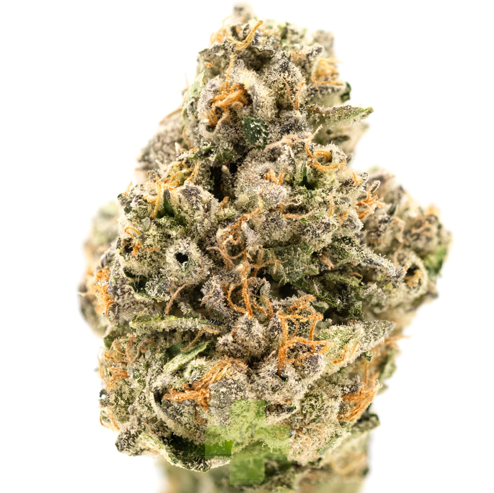 Shasta Flower & Hash Company — Verzace