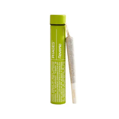 REVERIE PREROLL