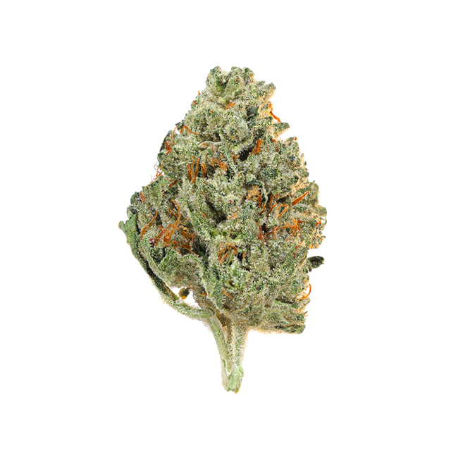 LEMON THAI X OG KUSH