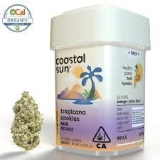 Coastal Sun: Tropicana Cookies