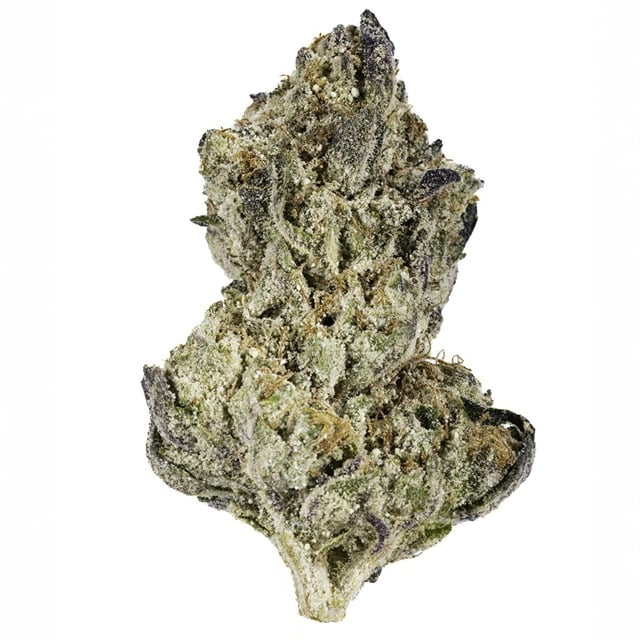 Purpscotti | 7G Diamond Infused Flower