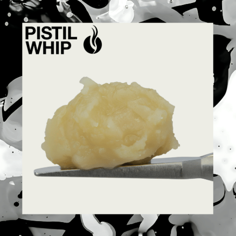 Papaya x Strawguava #7 | 1g Live Rosin