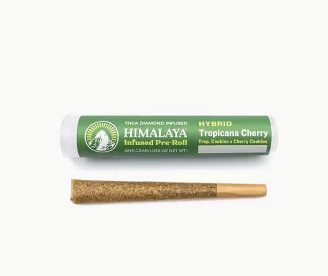 Tropicana Cherry - Infused Pre-Roll (1g)