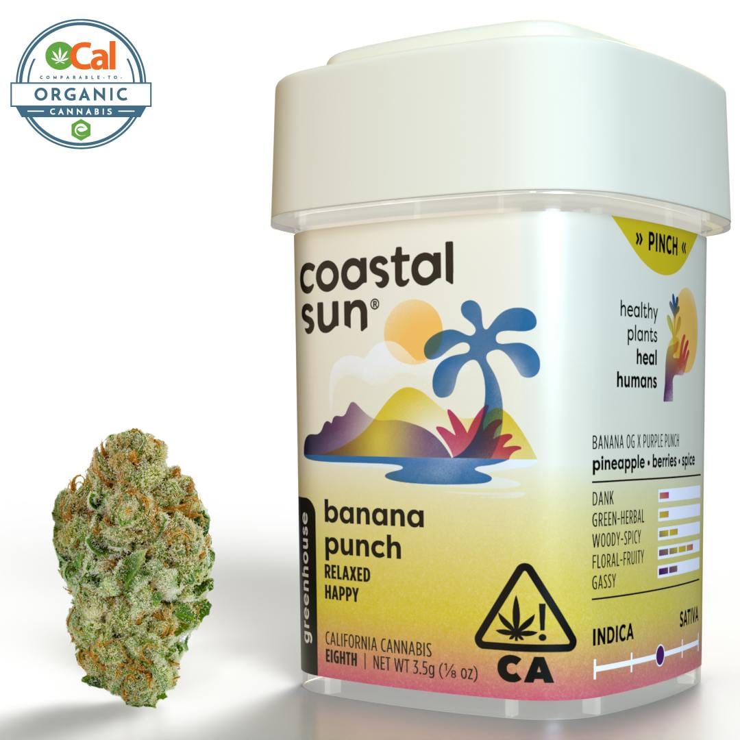 Jack Herer 3.5g - CAM | Shop | KUSHOLOGY