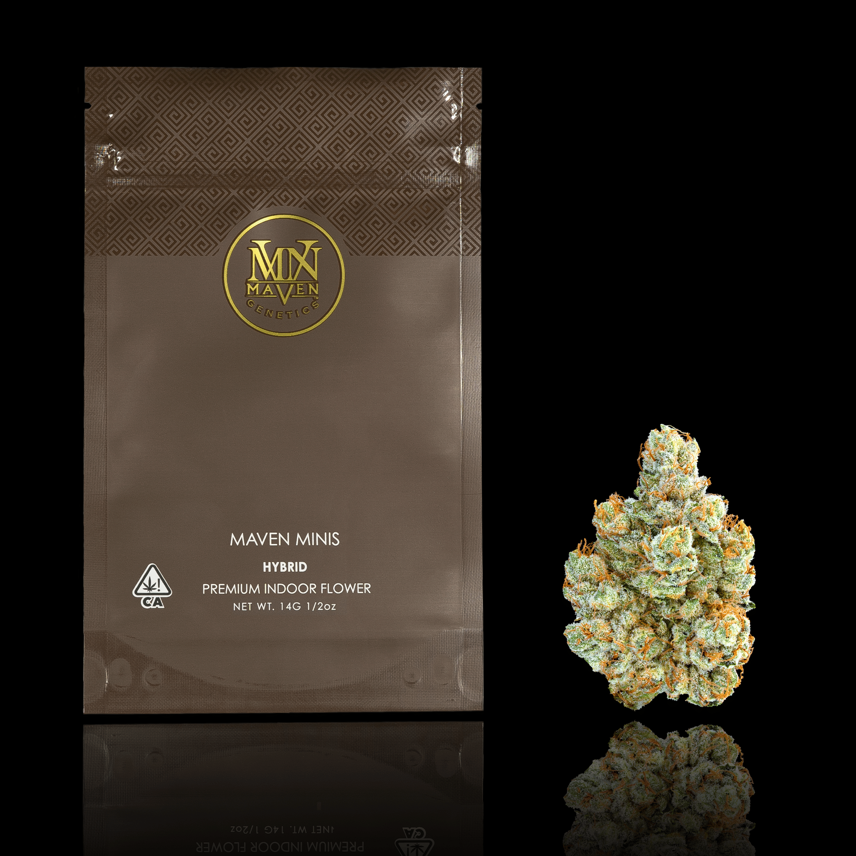 Maven Genetics — Hybrid