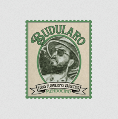 Budularo — Malawi Durban