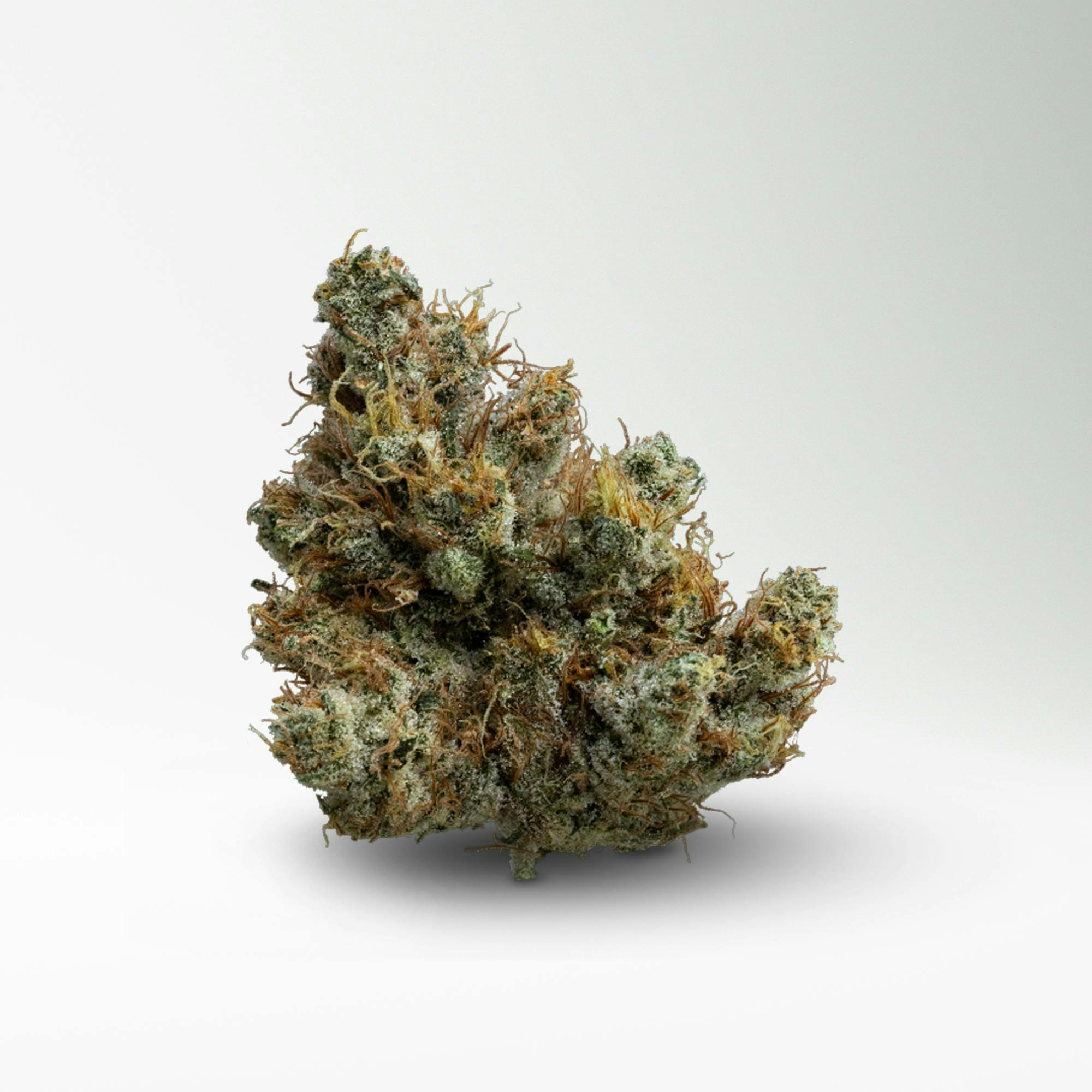 Wood Wide — Dutch Treat