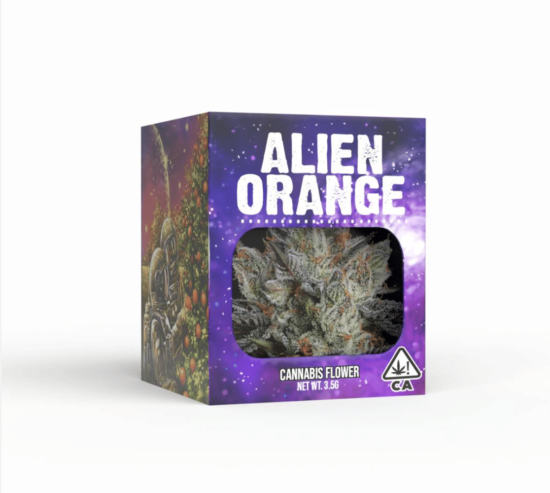 Decibel Gardens: Alien Orange