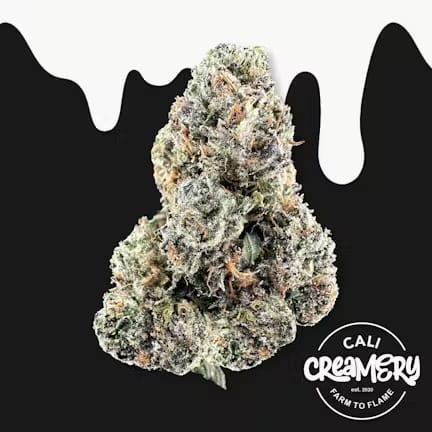 Cali Creamery — Wild Cherries
