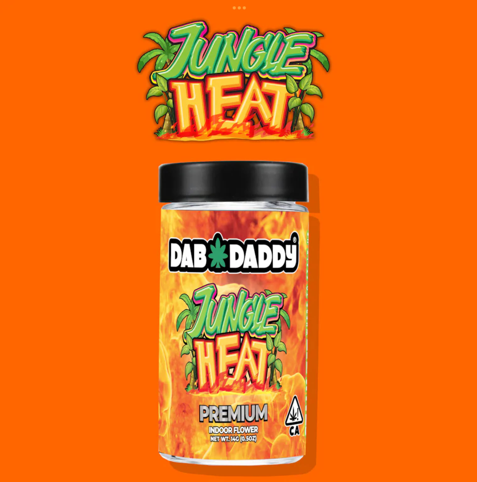 Dab Daddy — Jungle Heat