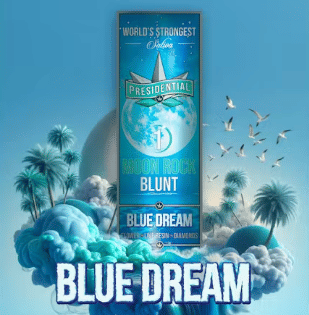 Presidential — Blue Dream