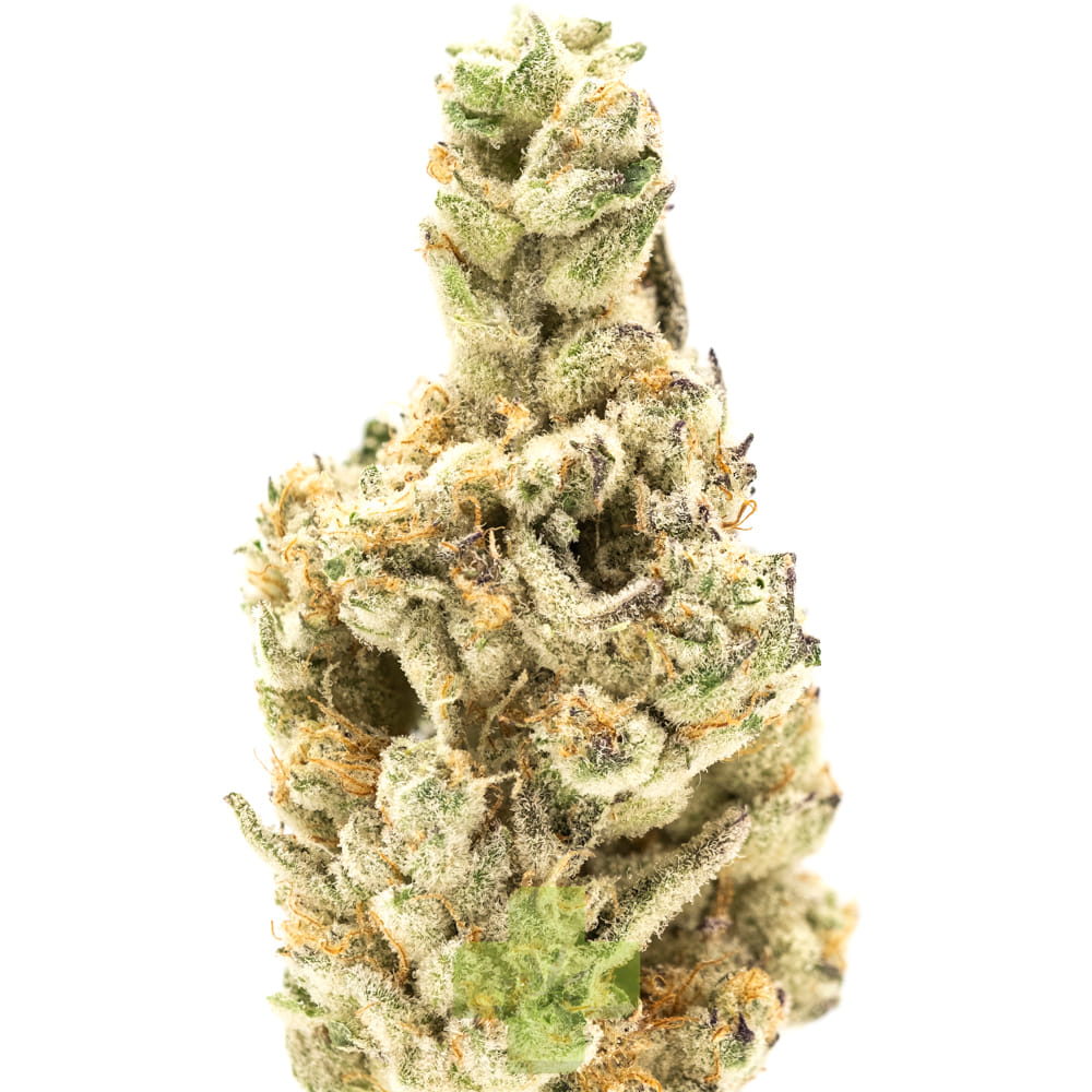 UpNorth — Strawberry Cough